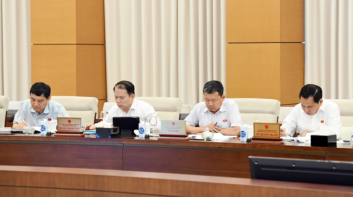 dai-bieu-1718071030187.jpg