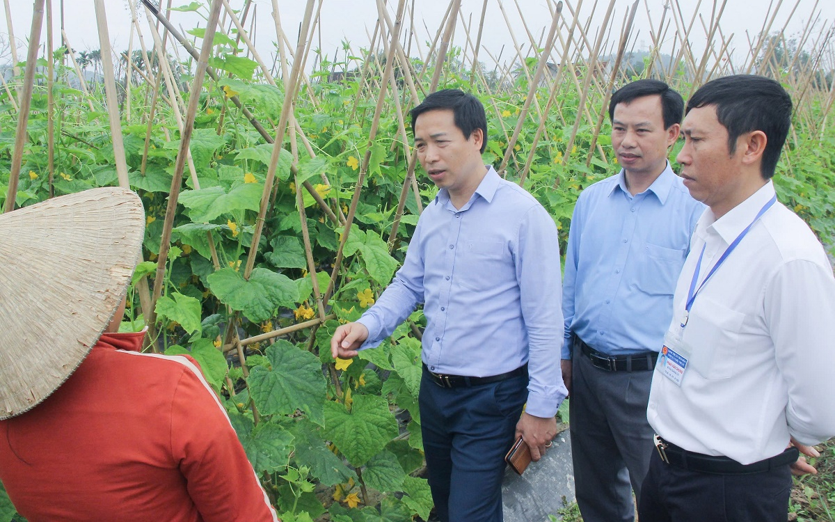 HĐND thị xã Thái Hoà trăn trở nâng cao chất lượng, hiệu quả hoạt động giám sát
