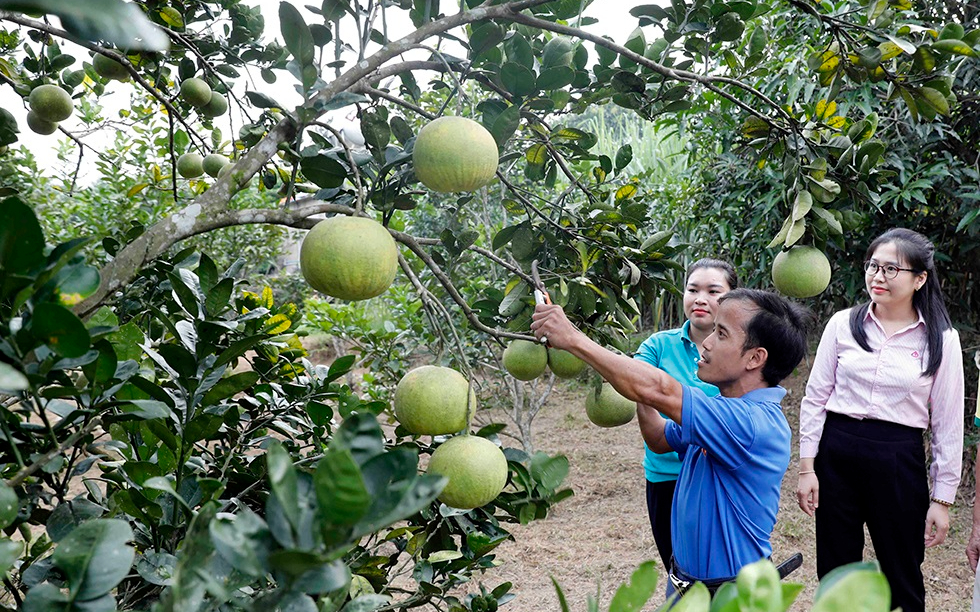 Vốn tín dụng chính sách xã hội - góp phần giảm nghèo, thoát bẫy “tín dụng đen”