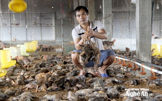 Các địa phương khẩn trương hoàn thiện hồ sơ chính sách hỗ trợ người dân bị ảnh hưởng do thiên tai