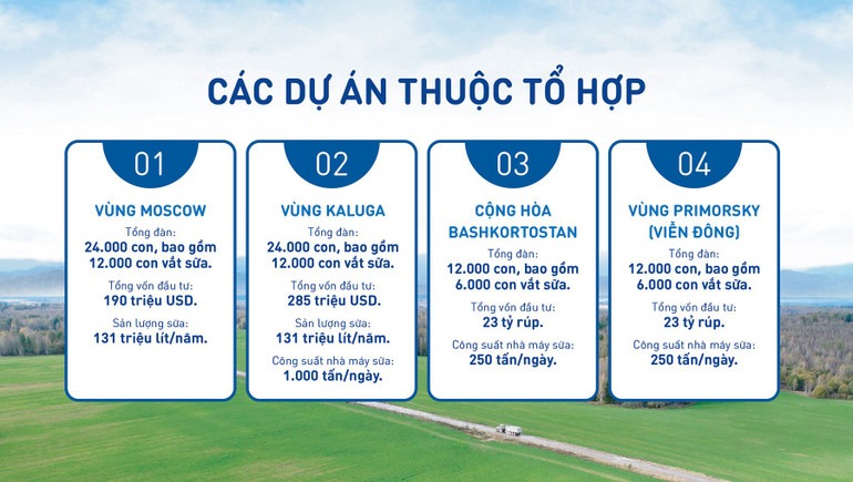 to-hop-du-an-tai-nga.jpg