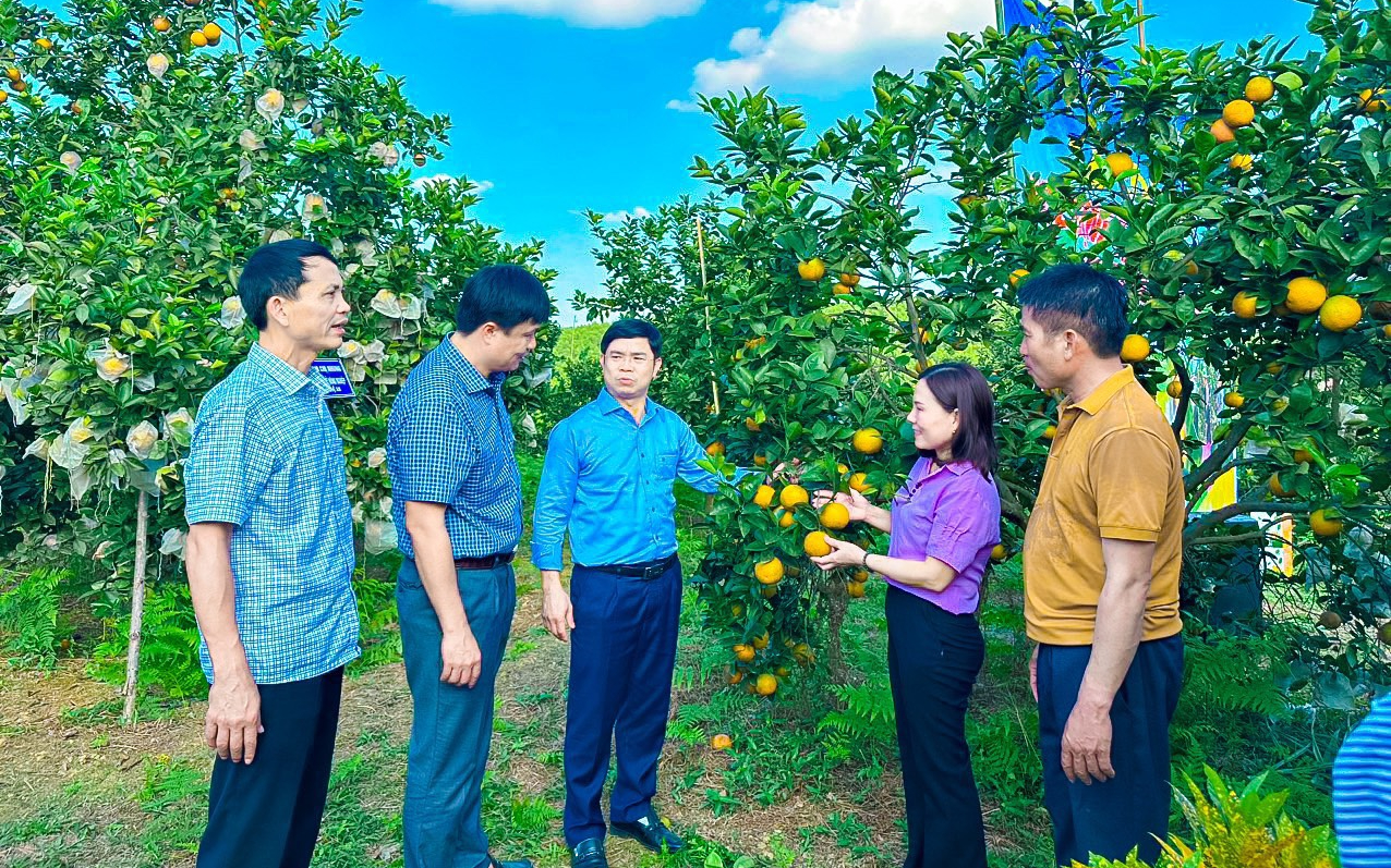 Làm giàu trên quê hương cách mạng