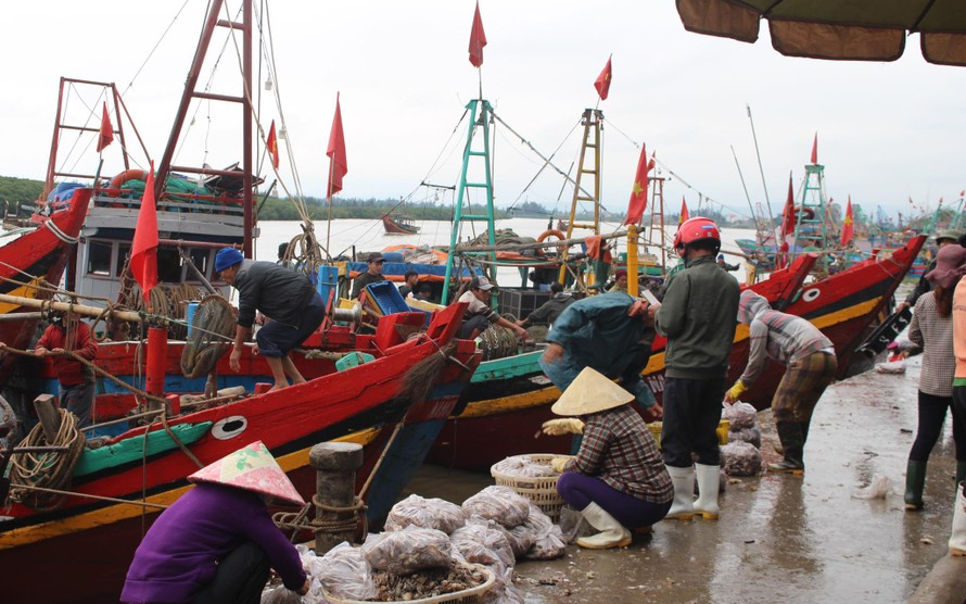 Sở Kế hoạch và Đầu tư trả lời kiến nghị cử tri huyện Diễn Châu về dự án Cải tạo, nâng cấp cơ sở hạ tầng nghề cá tại khu vực Lạch Vạn