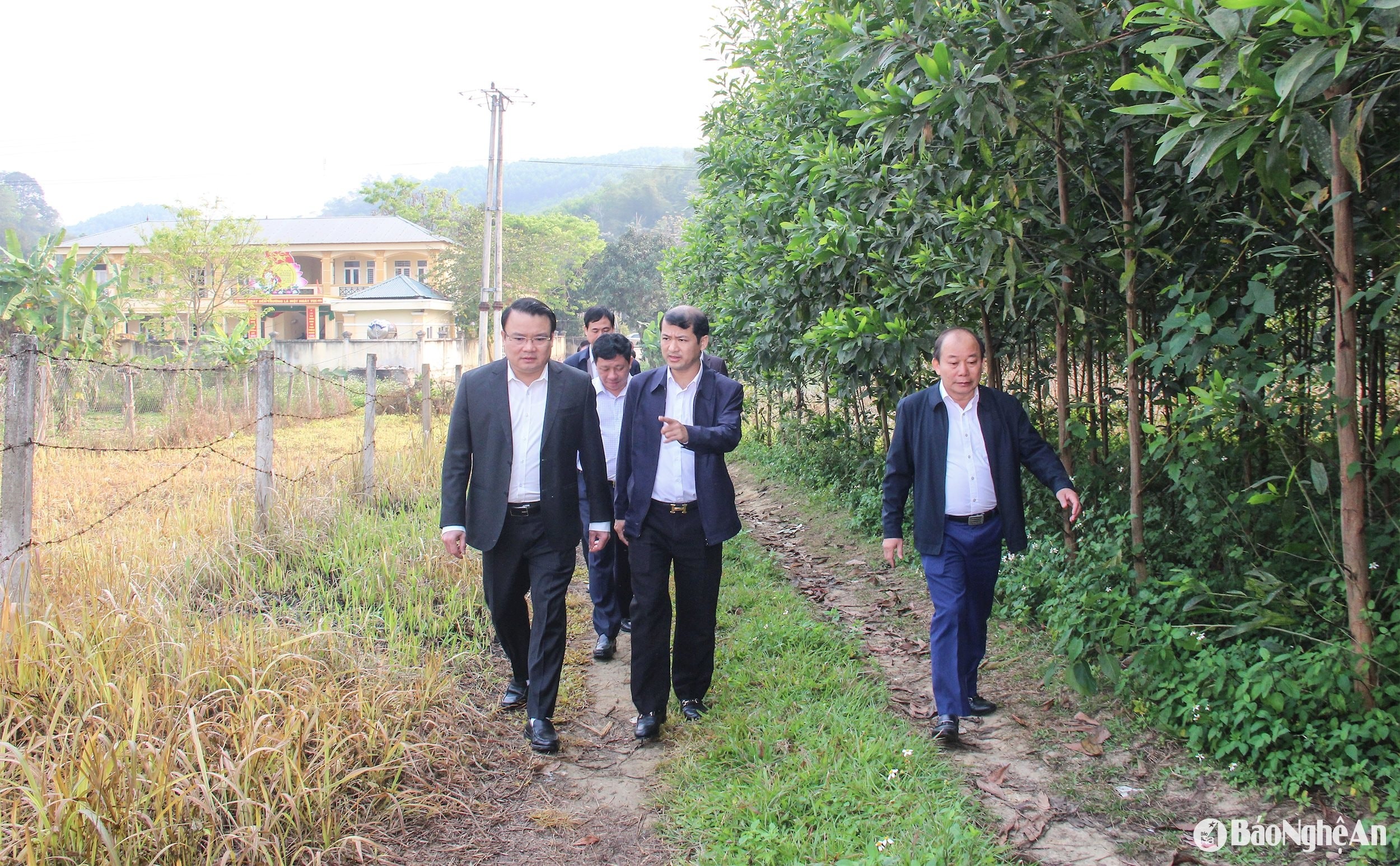 bna_-doan-cong-tac-cua-tinh-khao-sat-tuyen-duong-vao-du-an-nha-may-may-minh-anh-con-cuong.-anh-mai-hoa.jpg