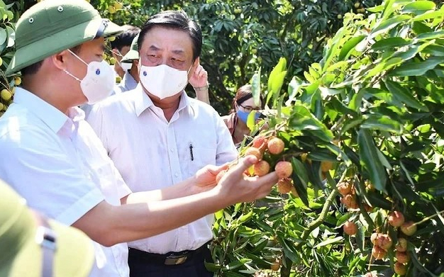 Từ cán bộ nghị quyết đến cán bộ thực chiến