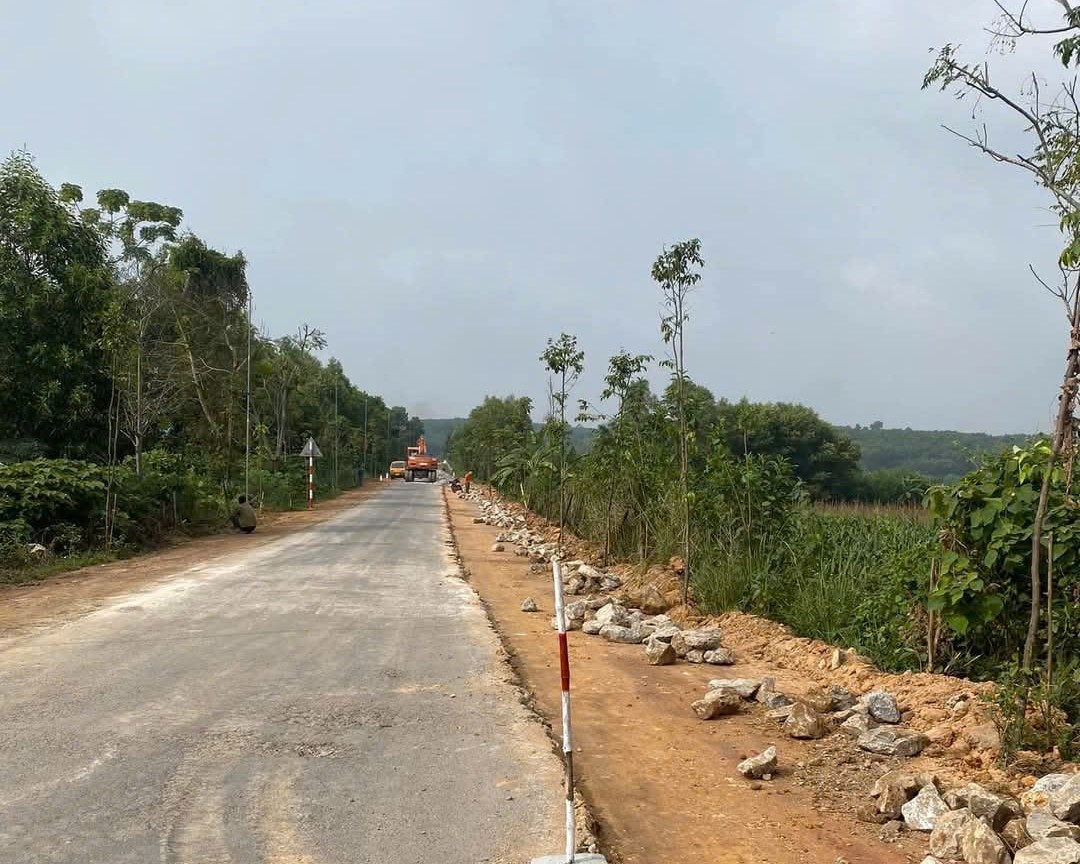 Quan tâm đầu tư xây dựng nâng cấp, cải tạo tuyến Tỉnh lộ 534