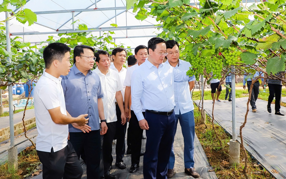 Chuyển đổi số từ chính quyền cấp xã: Muốn đi xa cần bắt đầu từ rất gần