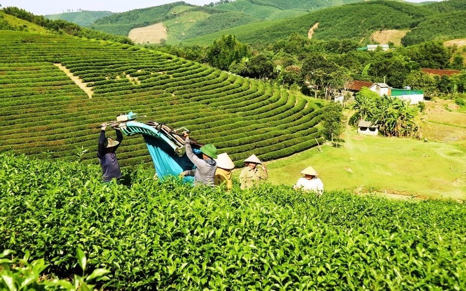 Triển khai hiệu quả Chương trình giảm nghèo bền vững gắn với xây dựng nông thôn mới