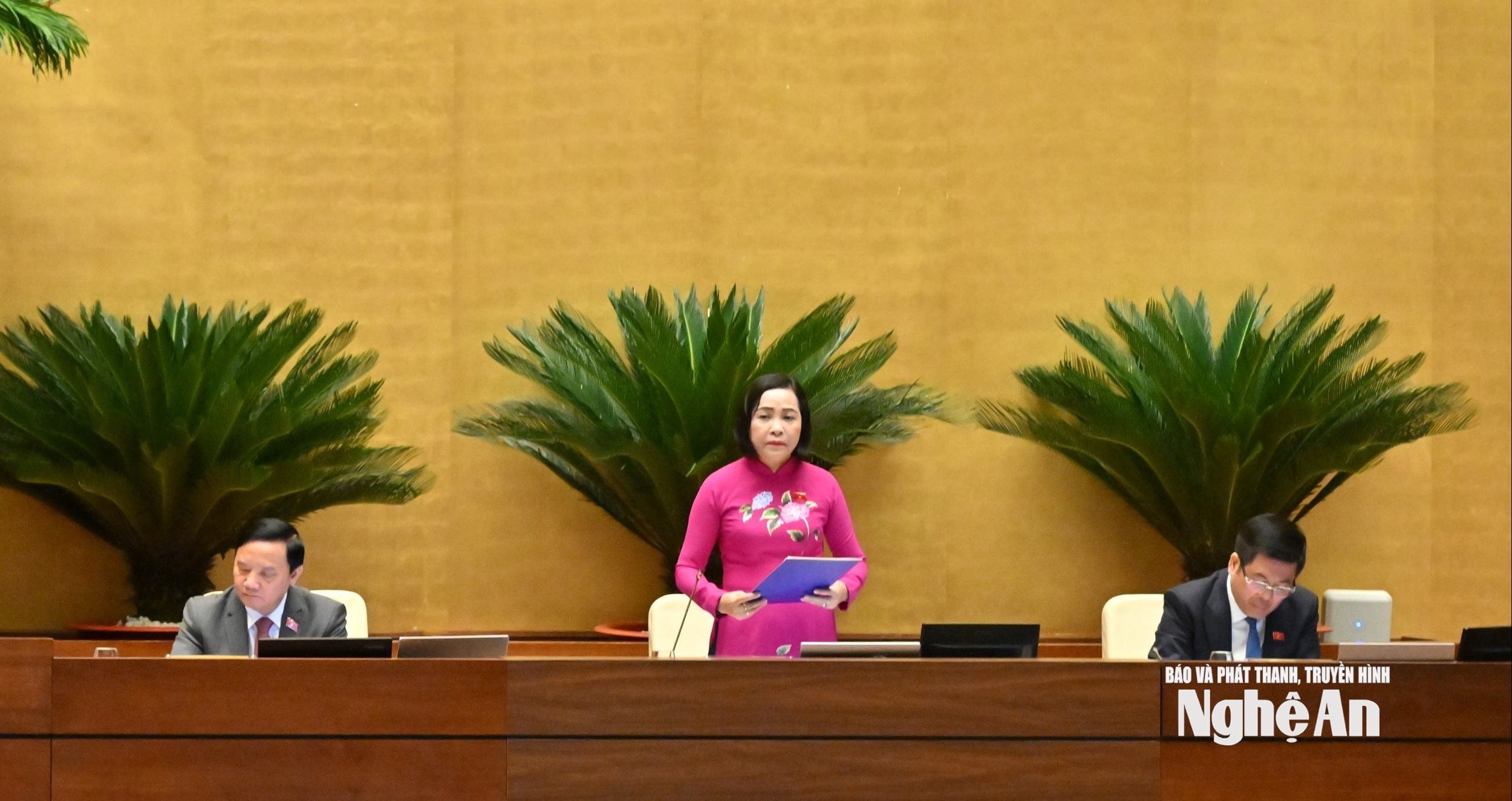 bna_pho-chu-tich-quoc-hoi-nguyen-thi-thanh-dieu-hanh-phien-hop.jpg
