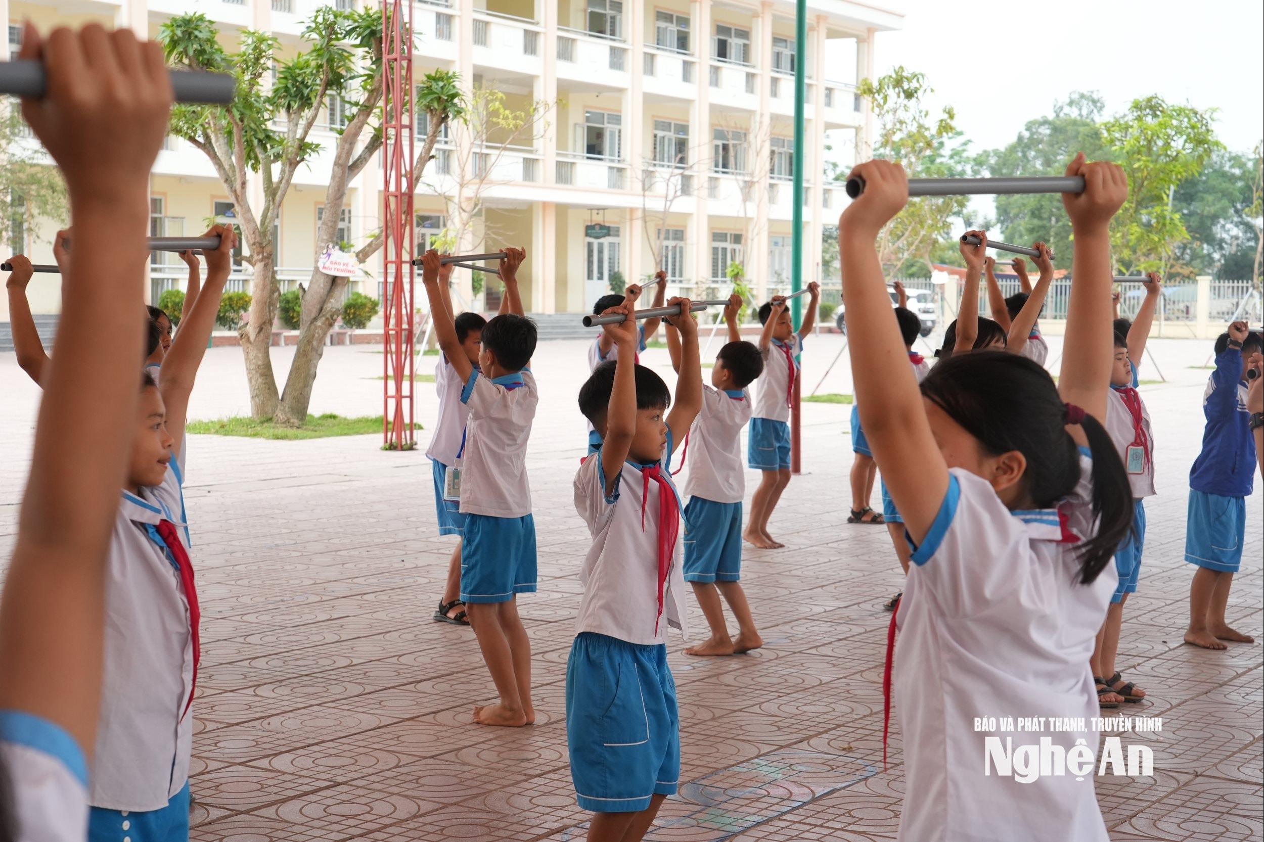 bna_anh-my-ha2.jpg
