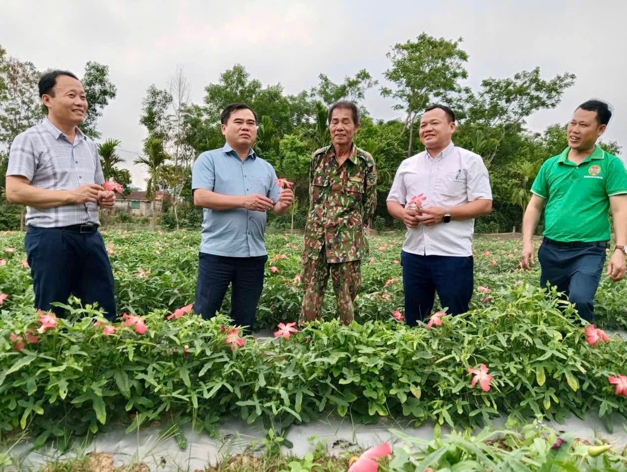 Nghệ An: Chủ tịch UBND tỉnh sẽ gặp mặt, đối thoại với nông dân