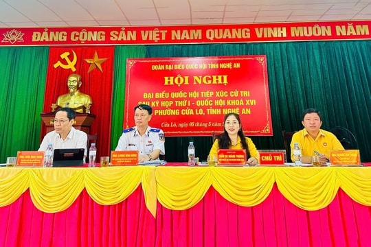 Cử tri đề nghị thu hồi dự án Golden City nếu tiếp tục chậm triển khai
