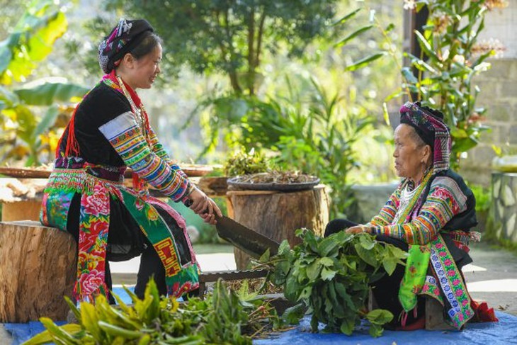 Nghe lá thở trên ngàn - Tản mạn về bài thuốc người Dao Kỳ Sơn