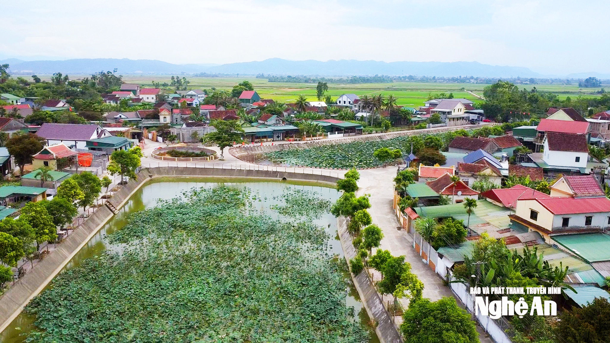 dong-song-sen-se-la-diem-nhat-trong-quy-hoach-moi-cua-xa-kim-lien.-anh-ngoc-dung.jpg