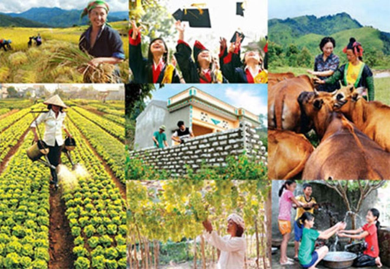 bcp.cdnchinhphu.vn-334894974524682240-2026-7-15-_438-17841058193701824074846.jpg