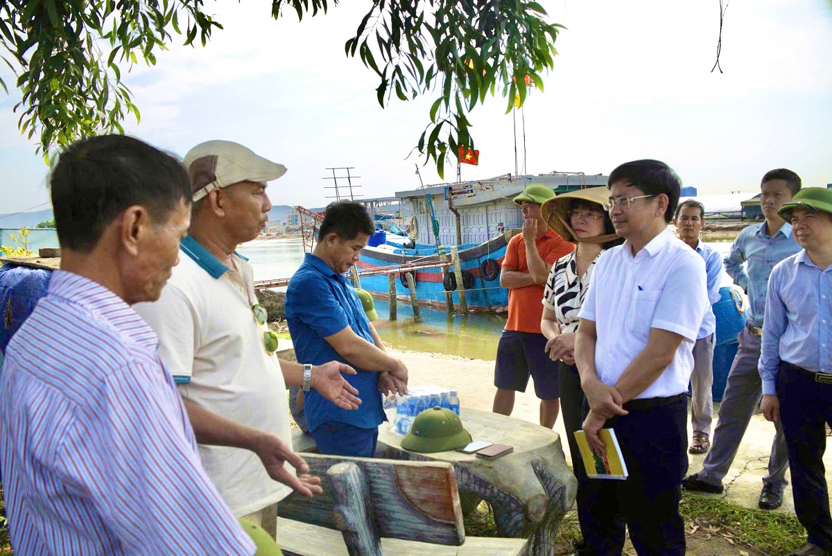 Đưa Nghị quyết của HĐND tỉnh vào cuộc sống: ghi nhận từ thực tiễn phường Tân Mai