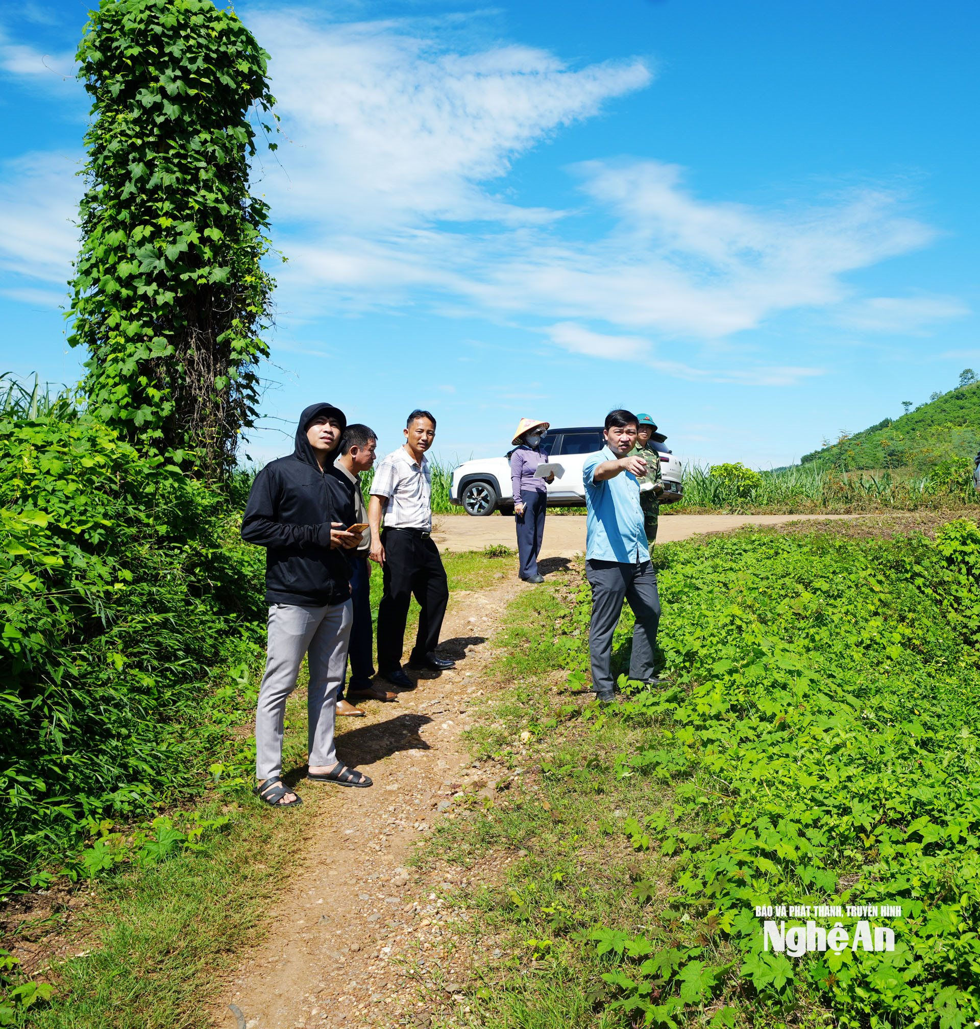 nghia-mai-3.jpg?md5=P25X7APFuWE-rZv5YnIBew&expires=1786863944