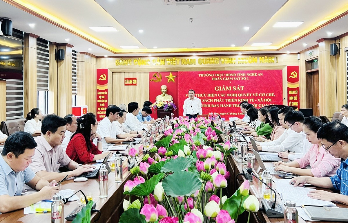 1 Đồng chí Dương Đình Chỉnh Phó Chủ tịch Thường trực HĐND tỉnh giám sát tại xã Anh Sơn