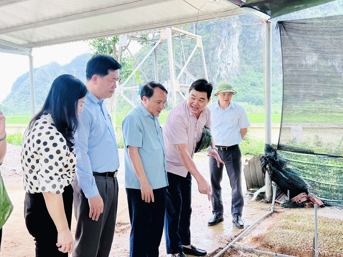 8 Đoàn khảo sát tại Ban Quản lý Rừng phòng hộ Tây Nam Nghệ An