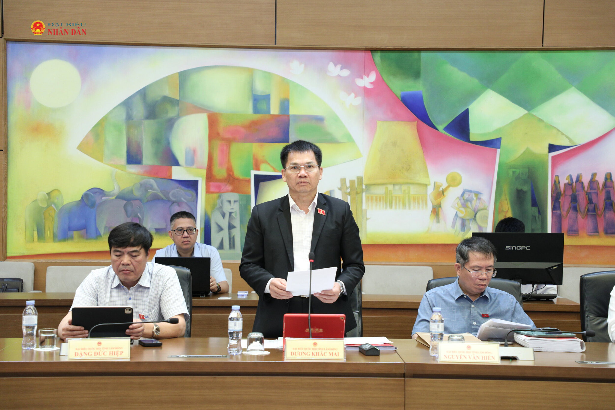 dai-bieu-duong-khac-mai-lam-dong-phat-bieu-thao-luan-tai-to.jpg