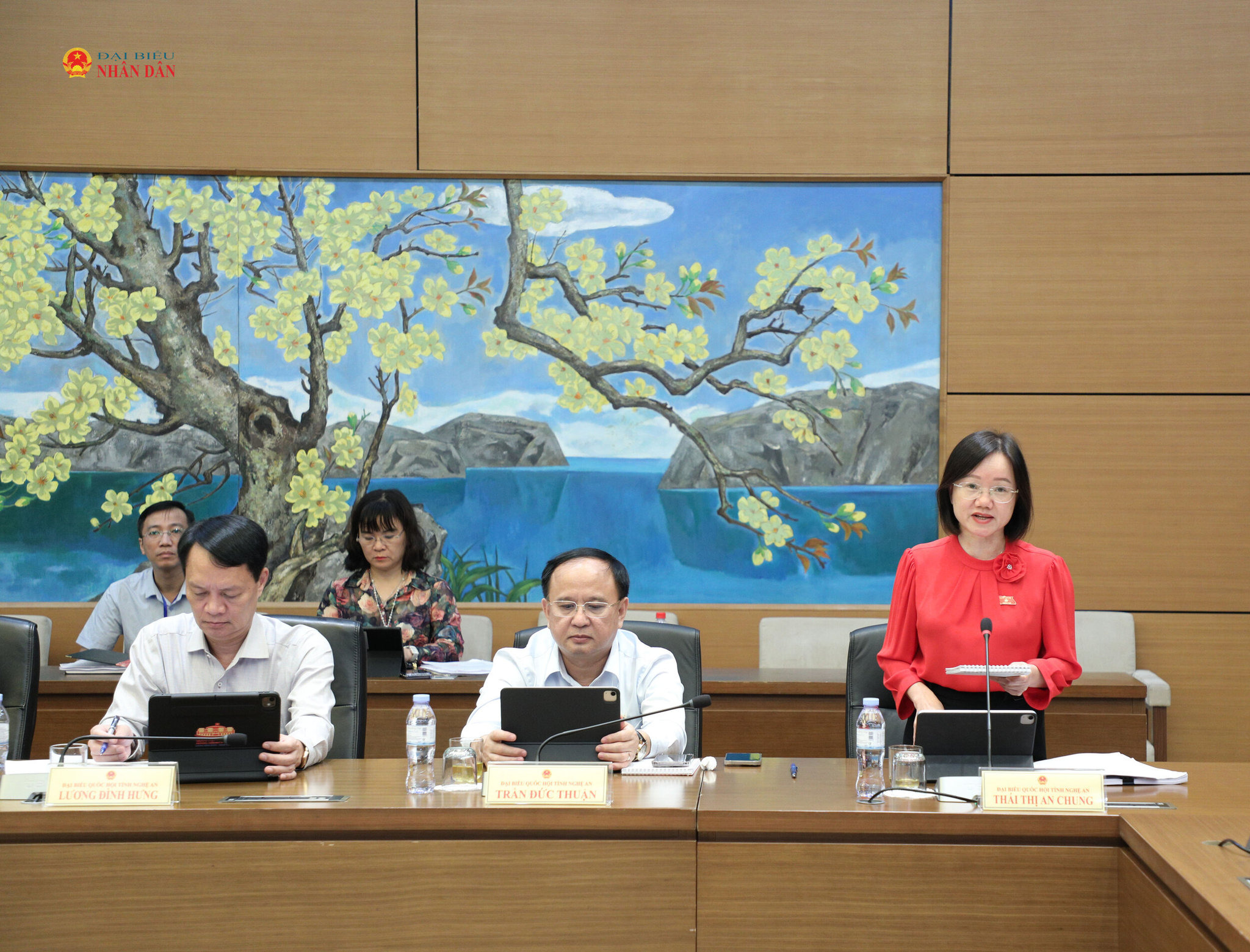 pho-truong-doan-chuyen-trach-doan-dbqh-tinh-nghe-an-thai-thi-an-chung-phat-bieu-thao-luan.jpg