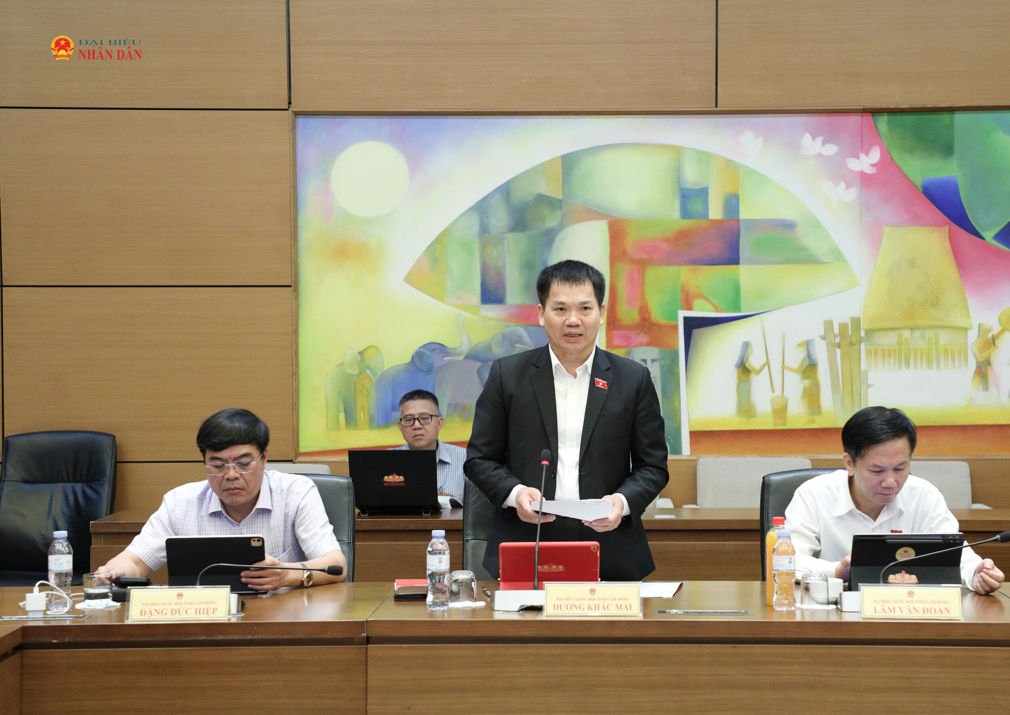 dai-bieu-duong-khac-mai-lam-dong-phat-bieu-thao-luan-tai-to.jpg