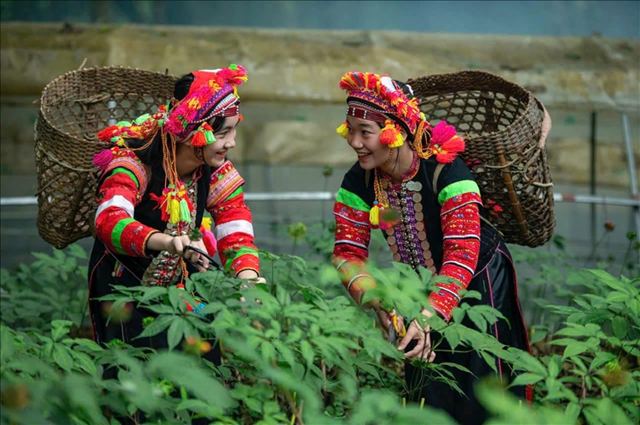 Bộ Nông nghiệp và Môi trường trả lời cử tri Nghệ An về đề xuất tích hợp 3 chương trình mục tiêu quốc gia