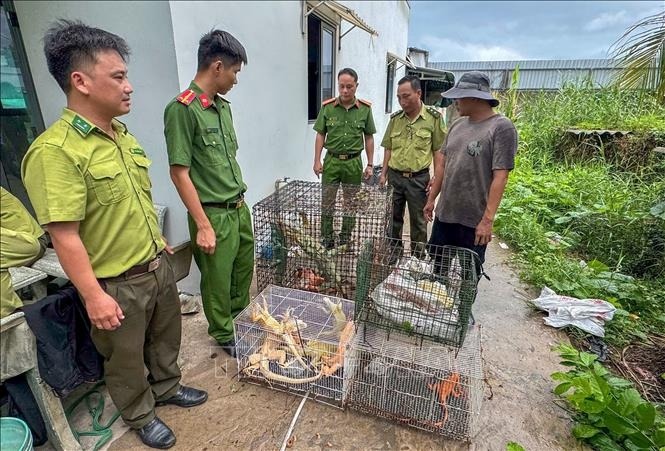 Bộ Nông nghiệp và Môi trường sẽ sửa đổi các nghị định xử phạt trong lĩnh vực nông nghiệp để phù hợp chính quyền hai cấp