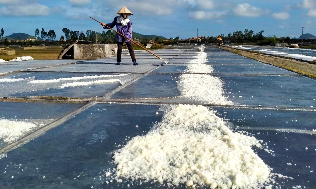 Quan tâm hỗ trợ phát triển sản xuất muối và khôi phục sản xuất do thiên tai