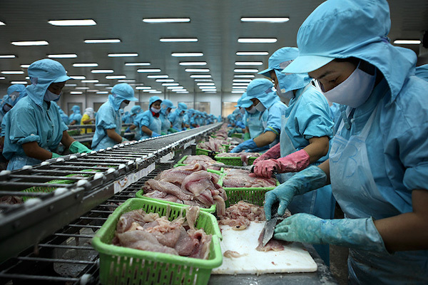 viet-nam-phia-truoc-cua-cuong-quoc-luong-thuc-trong-the-ky-21-1-1.jpg
