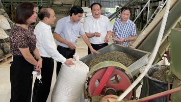 che-bien-che-xuat-khau-tai-nha-may.jpg