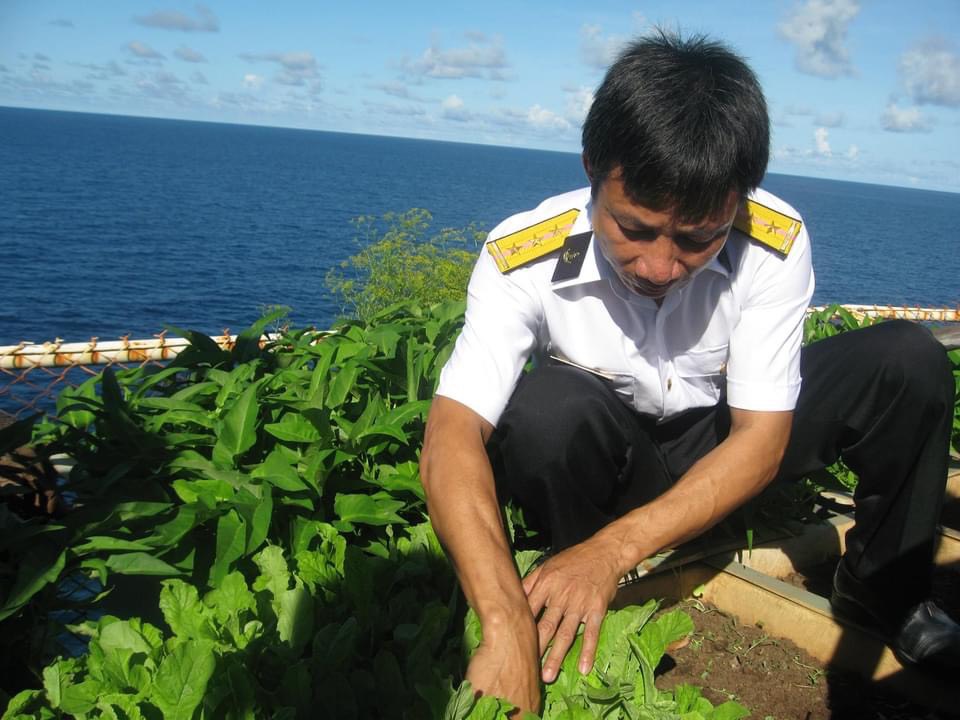 rau-xanh-tren-dao-chim-truong-sa.jpg