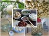 Món cà muối xứ Nghệ
