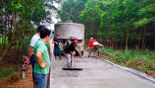 Ưu tiên nguồn vốn đầu tư cầu An Ngãi giai đoạn 2026 - 2030 để giải quyết bài toán giao thông thiết yếu