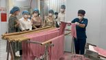 Đoàn ĐBQH tỉnh khảo sát việc thực hiện chính sách, pháp luật về phát triển khoa học, công nghệ và đổi mới sáng tạo tại Công ty cổ phần An An Agri