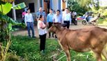 Đồng hành cùng người dân trước tình hình tăng giá vật tư nông nghiệp và phát triển các mô hình trang trại, vườn đồi