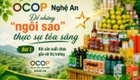 OCOP Nghệ An - Để những “ngôi sao” thực sự tỏa sáng - Bài 1: Khi sản xuất chưa gắn với thị trường