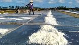 Quan tâm hỗ trợ phát triển sản xuất muối và khôi phục sản xuất do thiên tai
