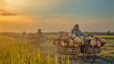 Làng nồi đất Trù Sơn - Đi lùi để giữ lại hồn xưa