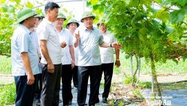 Bí thư Tỉnh ủy Nguyễn Khắc Thận thăm mô hình sản xuất, kinh doanh tại các xã Minh Hợp, Tam Hợp và Quỳ Hợp