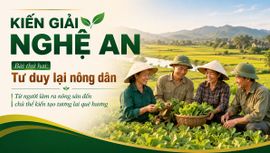 KIẾN GIẢI NGHỆ AN - Bài 2: Tư duy lại nông dân