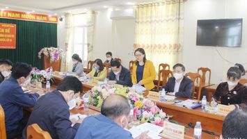 Đoàn đại biểu Quốc hội tỉnh Nghệ An giám sát về sắp xếp đơn vị hành chính cấp huyện, xã