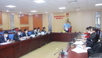 Đề xuất HĐND tỉnh ban hành nhiều chính sách thuộc lĩnh vực văn hóa