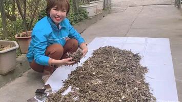 Đại diện Nghệ An lọt vào chung kết 'Dự án khởi nghiệp thanh niên nông thôn 2021'