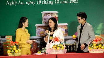Nghệ An tổ chức livestream quảng bá, tiêu thụ cam Vinh và các đặc sản xứ Nghệ