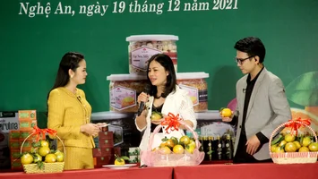 Nghệ An tổ chức livestream quảng bá, tiêu thụ cam Vinh và các đặc sản xứ Nghệ
