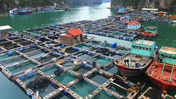 Cắt giảm, đơn giản hóa nhiều thủ tục hành chính lĩnh vực nông nghiệp
