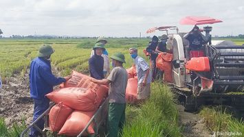 Ngành Nông nghiệp làm tốt vai trò ‘trụ đỡ’ nền kinh tế trong khó khăn do dịch Covid-19