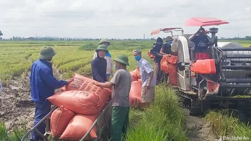 Ngành Nông nghiệp làm tốt vai trò ‘trụ đỡ’ nền kinh tế trong khó khăn do dịch Covid-19