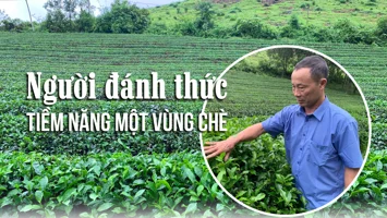 Người đánh thức tiềm năng một vùng chè